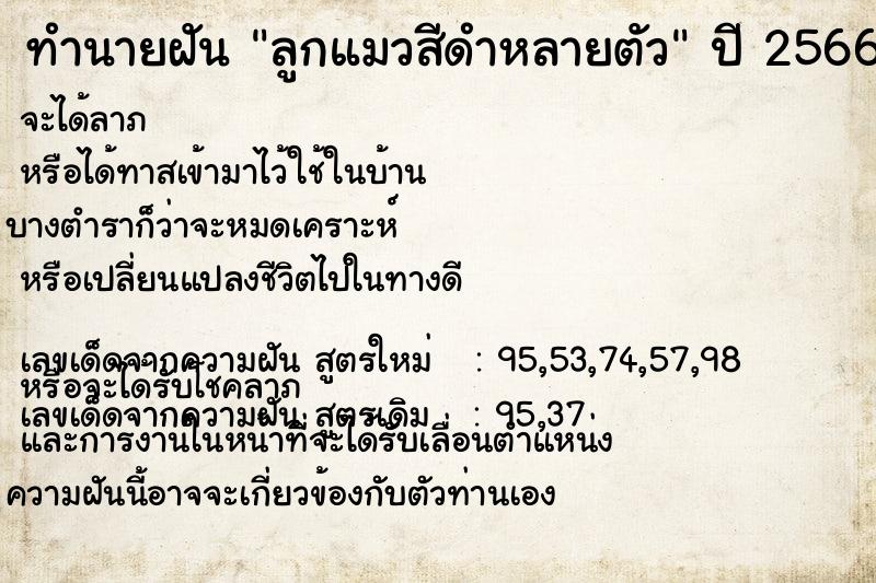 ทำนายฝัน ลูกแมวสีดำหลายตัว ตำราโบราณ แม่นที่สุดในโลก