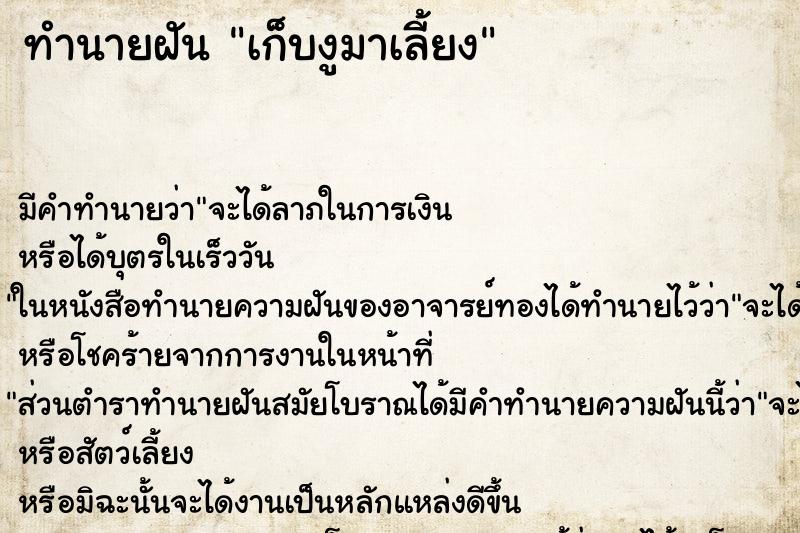 ทำนายฝันเก็บงูมาเลี้ยง ทำนายฝันทำนายฝันเก็บงูมาเลี้ยง