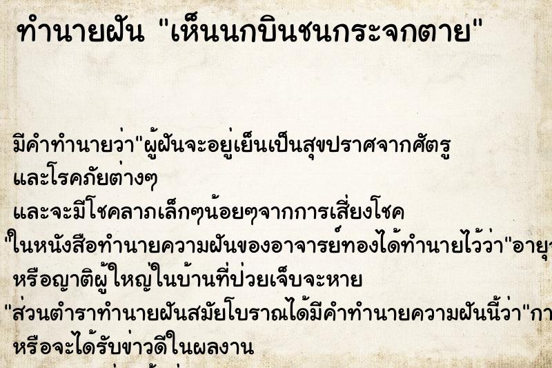 ทำนายฝัน เห็นนกบินชนกระจกตาย ตำราโบราณ แม่นที่สุดในโลก