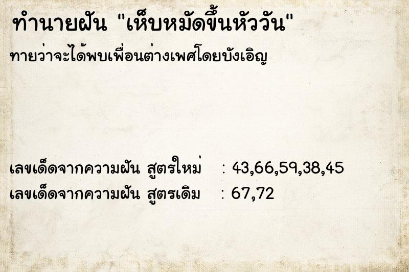 ทำนายฝันเห็บหมัดขึ้นหัววัน ทำนายฝันทำนายฝันเห็บหมัดขึ้นหัววัน