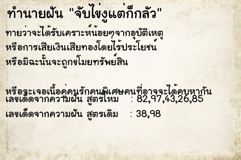 ทำนายฝันจับไข่งูแต่ก็กลัว ทำนายฝันทำนายฝันจับไข่งูแต่ก็กลัว