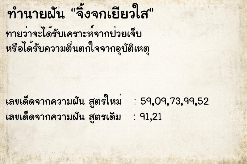 ทำนายฝันจิ้งจกเยียวใส ทำนายฝันทำนายฝันจิ้งจกเยียวใส