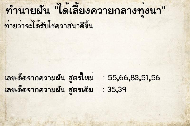 ทำนายฝันทำนายฝันได้เลี้ยงควายกลางทุ่งนา