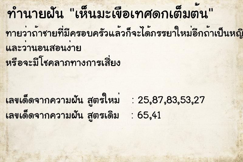 ทำนายฝันทำนายฝันเห็นมะเขือเทศดกเต็มต้น