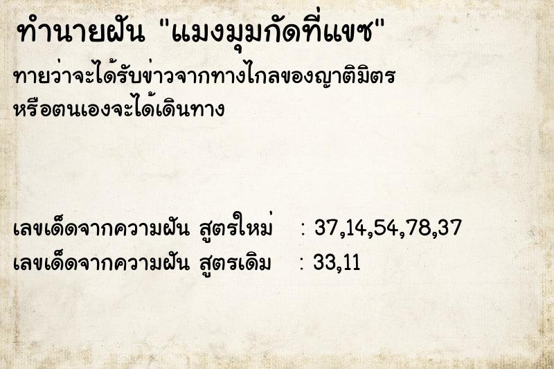 ทำนายฝันแมงมุมกัดที่แขซ ทำนายฝันทำนายฝันแมงมุมกัดที่แขซ