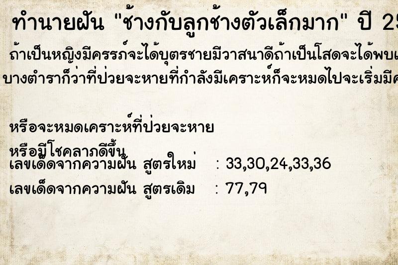 ทำนายฝัน ช้างกับลูกช้างตัวเล็กมาก