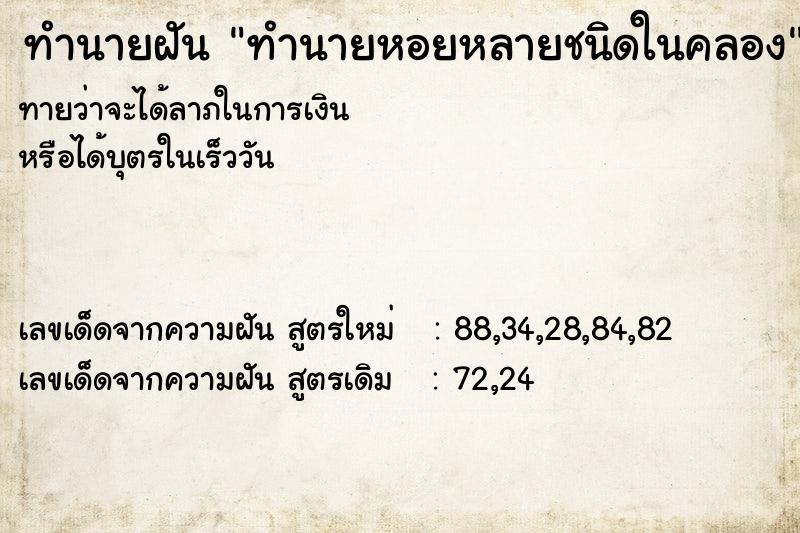 ทำนายฝันทำนายฝันทำนายหอยหลายชนิดในคลอง
