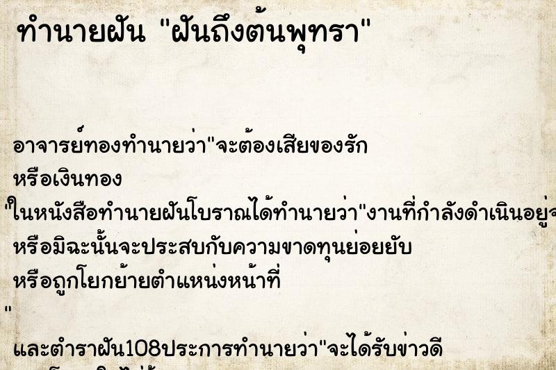 ทำนายฝันฝันถึงต้นพุทรา ทำนายฝันทำนายฝันฝันถึงต้นพุทรา