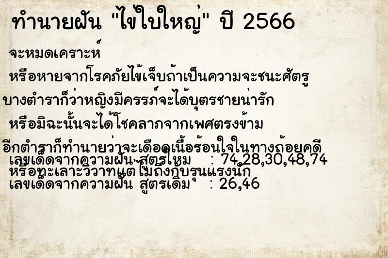 ทำนายฝัน ไข่ใบใหญ่ ทำนายฝัน ไข่ใบใหญ่