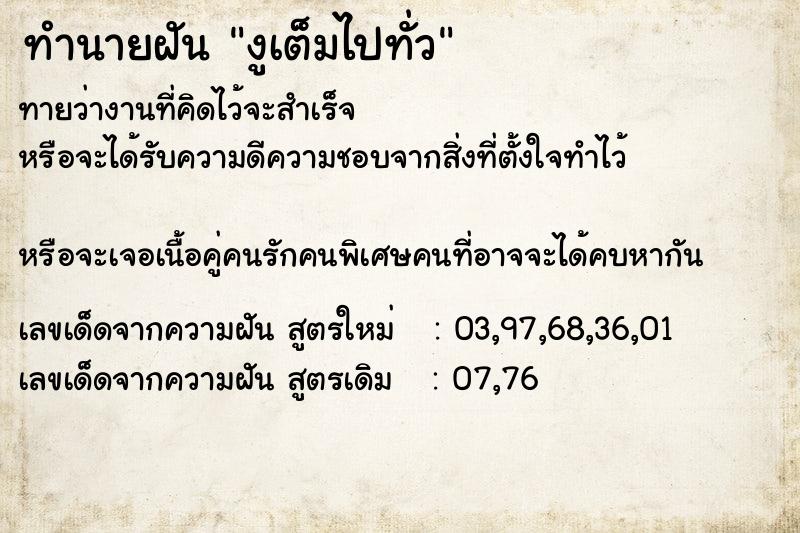 ทำนายฝันงูเต็มไปทั่ว ทำนายฝันทำนายฝันงูเต็มไปทั่ว