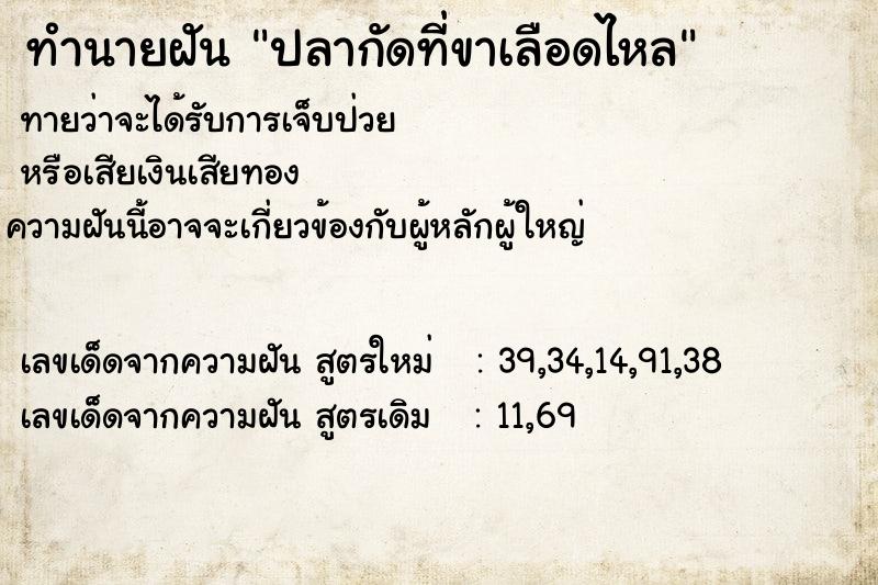 ทำนายฝันทำนายฝันปลากัดที่ขาเลือดไหล