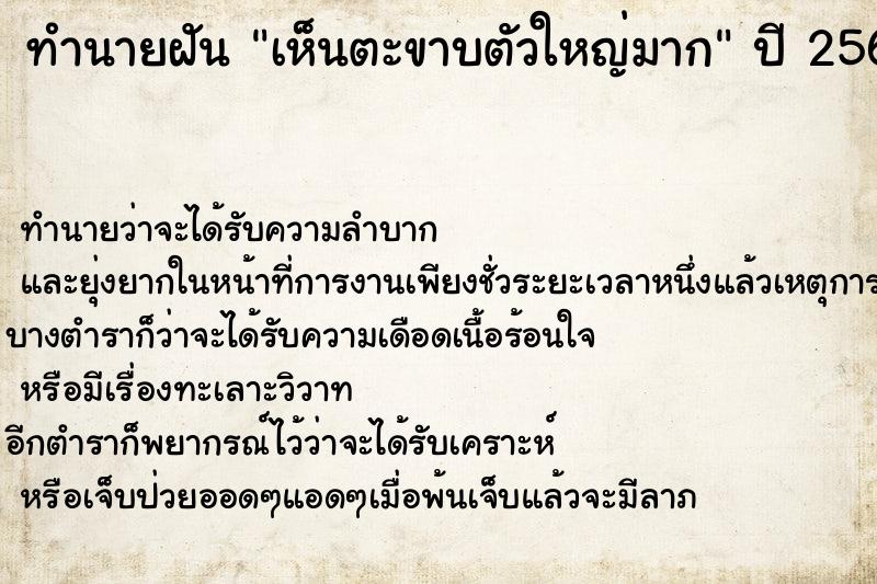ทำนายฝันทำนายฝันเห็นตะขาบตัวใหญ่มาก