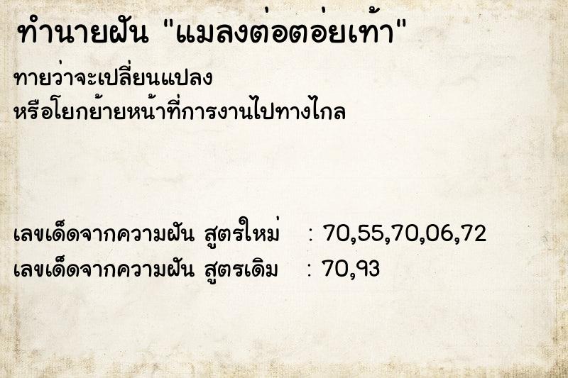 ทำนายฝันแมลงต่อตอ่ยเท้า ทำนายฝันทำนายฝันแมลงต่อตอ่ยเท้า