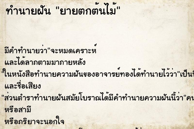 ทำนายฝัน ยายตกต้นไม้ ตำราโบราณ แม่นที่สุดในโลก