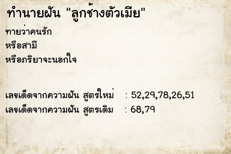 ทำนายฝัน ลูกช้างตัวเมีย ทำนายฝัน ลูกช้างตัวเมีย