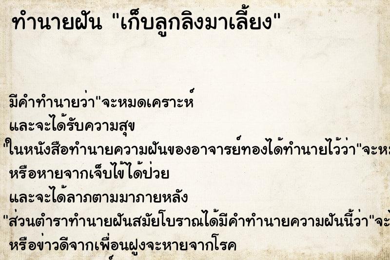 ทำนายฝัน เก็บลูกลิงมาเลี้ยง ทำนายฝัน เก็บลูกลิงมาเลี้ยง