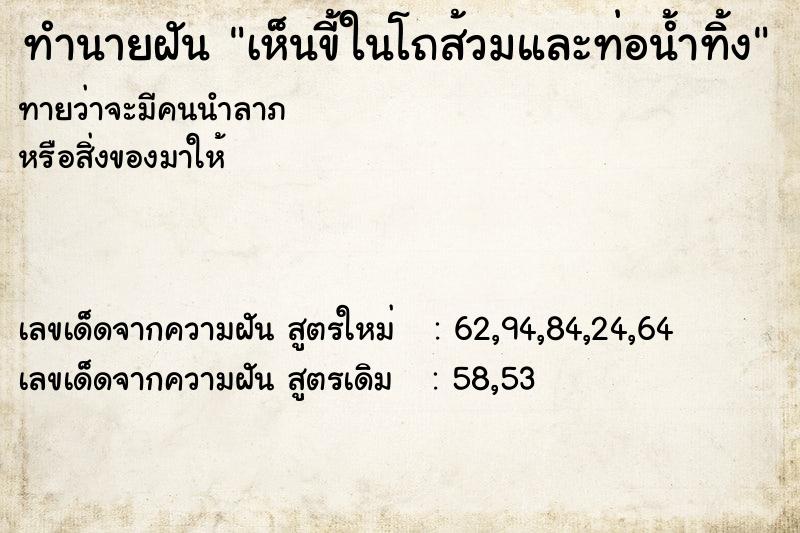 ทำนายฝันเห็นขี้ในโถส้วมและท่อน้ำทิ้ง ทำนายฝันทำนายฝันเห็นขี้ในโถส้วมและท่อน้ำทิ้ง