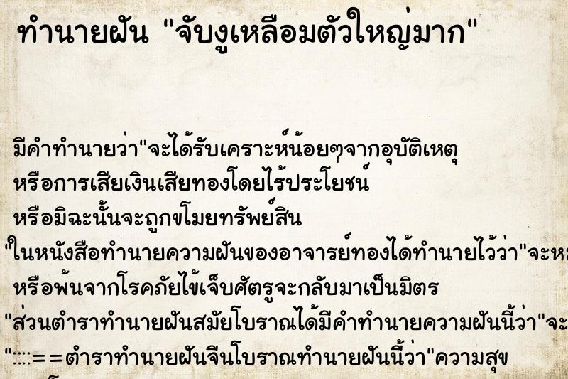 ทำนายฝัน จับงูเหลือมตัวใหญ่มาก ทำนายฝัน จับงูเหลือมตัวใหญ่มาก