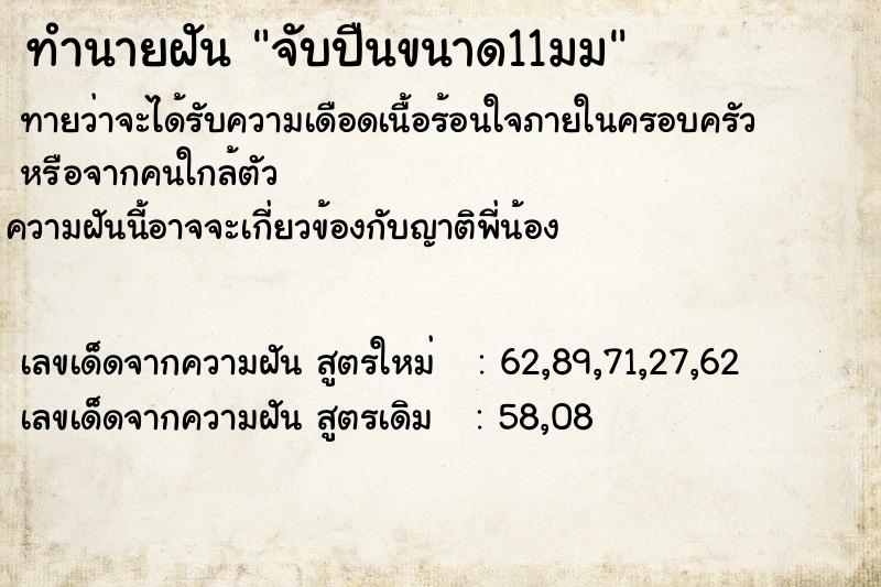 ทำนายฝันจับปืนขนาด11มม ทำนายฝันทำนายฝันจับปืนขนาด11มม