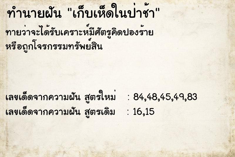 ทำนายฝันเก็บเห็ดในป่าช้า ทำนายฝันทำนายฝันเก็บเห็ดในป่าช้า
