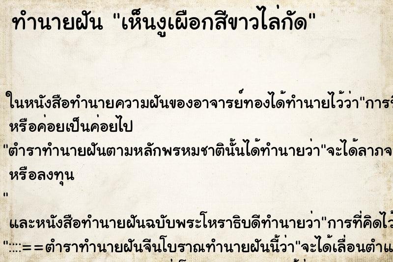 ทำนายฝันเห็นงูเผือกสีขาวไล่กัด ทำนายฝันทำนายฝันเห็นงูเผือกสีขาวไล่กัด