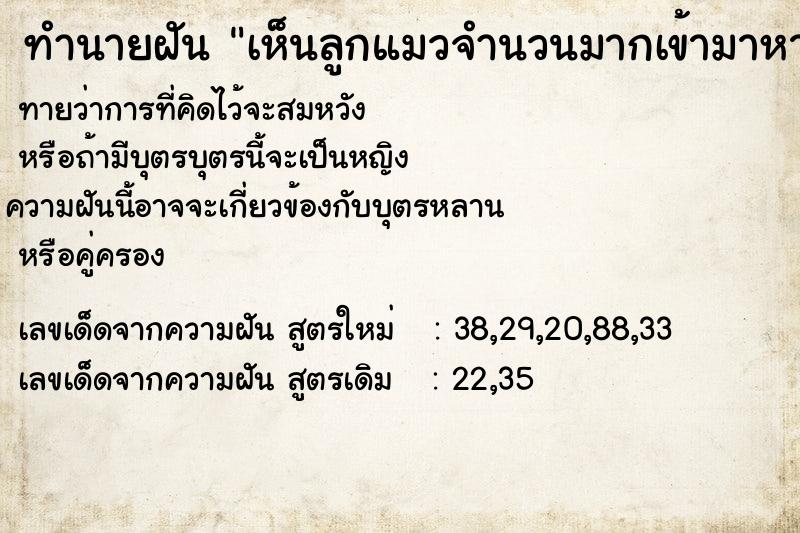 ทำนายฝันทำนายฝันเห็นลูกแมวจำนวนมากเข้ามาหา