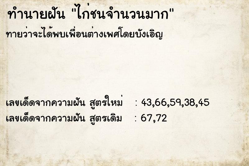 ทำนายฝันทำนายฝันไก่ชนจำนวนมาก