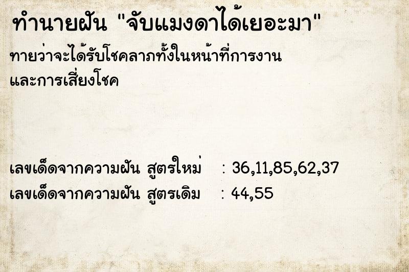 ทำนายฝันทำนายฝันจับแมงดาได้เยอะมา