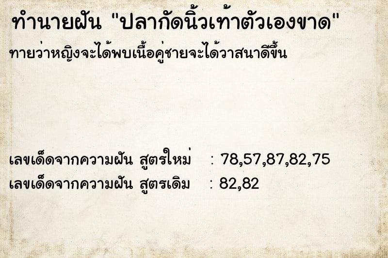 ทำนายฝัน ปลากัดนิ้วเท้าตัวเองขาด ทำนายฝัน ปลากัดนิ้วเท้าตัวเองขาด