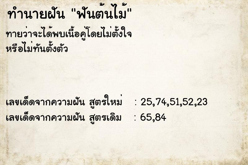 ทำนายฝันทำนายฝันฟันต้นไม้