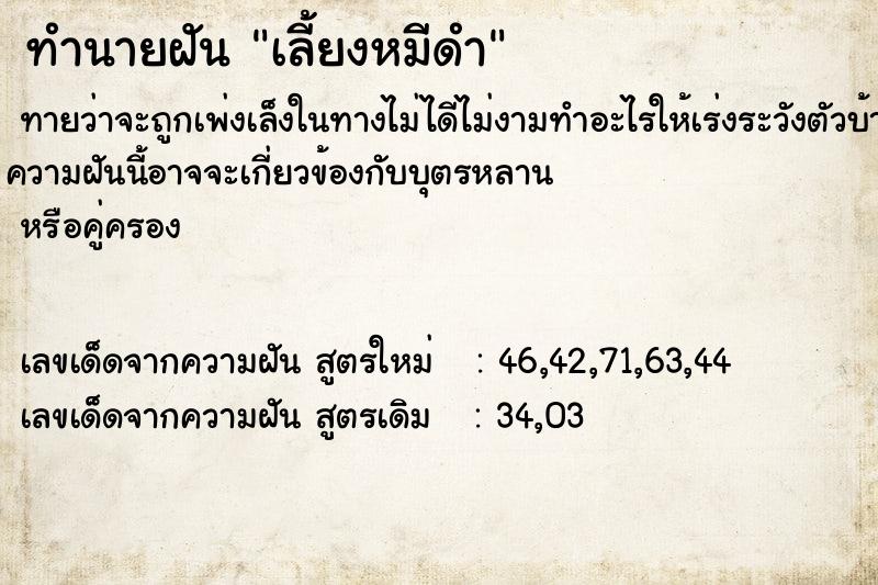 ทำนายฝันเลี้ยงหมีดำ ทำนายฝันทำนายฝันเลี้ยงหมีดำ