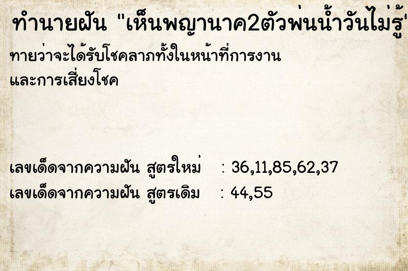 ทำนายฝันทำนายฝันเห็นพญานาค2ตัวพ่นน้ำวันไม่รู้