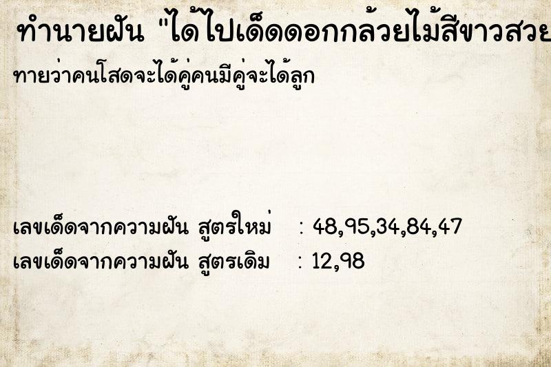 ทำนายฝันทำนายฝันได้ไปเด็ดดอกกล้วยไม้สีขาวสวยมาก