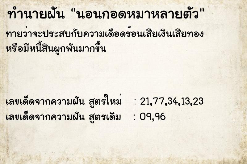 ทำนายฝันนอนกอดหมาหลายตัว ทำนายฝันทำนายฝันนอนกอดหมาหลายตัว