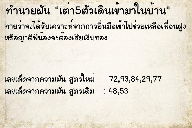 ทำนายฝันทำนายฝันเต่า5ตัวเดินเข้ามาในบ้าน
