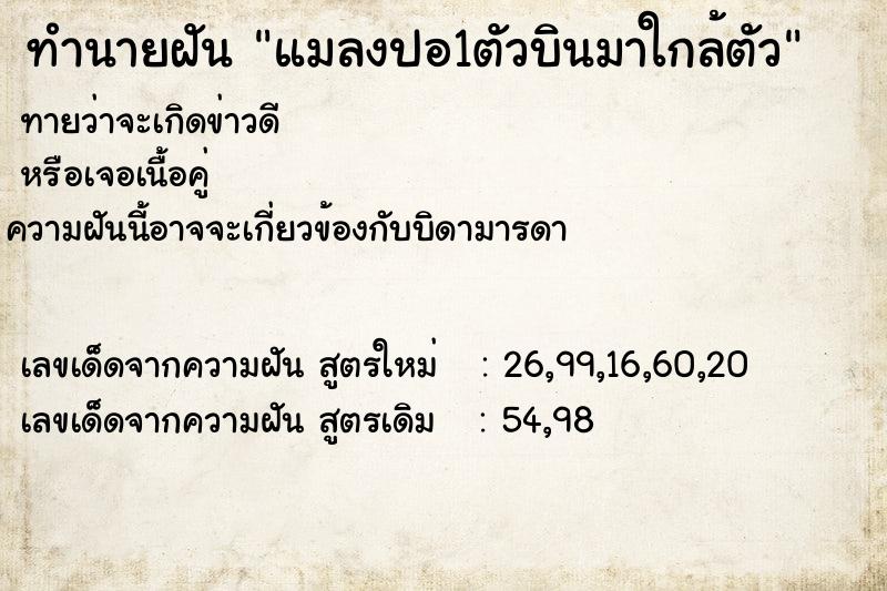 ทำนายฝันแมลงปอ1ตัวบินมาใกล้ตัว ทำนายฝันทำนายฝันแมลงปอ1ตัวบินมาใกล้ตัว