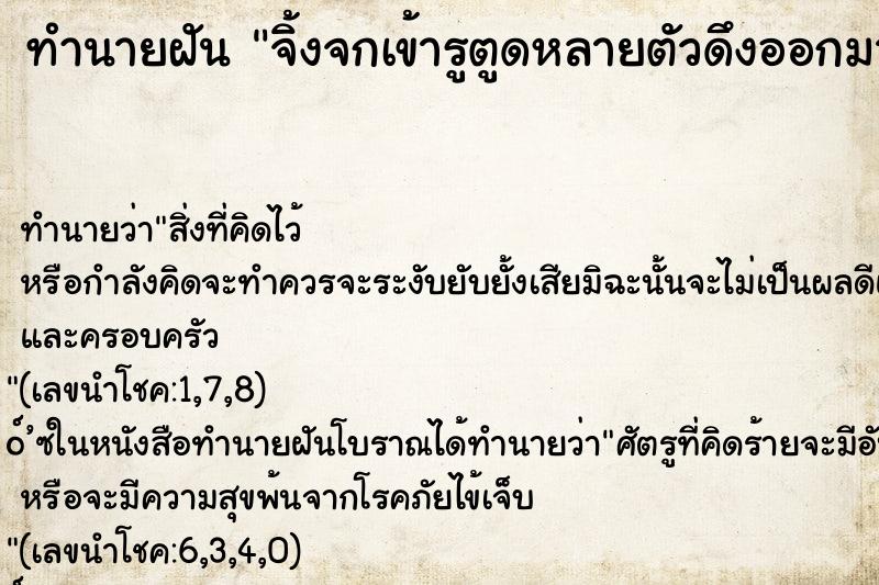 ทำนายฝัน จิ้งจกเข้ารูตูดหลายตัวดึงออกมาได้