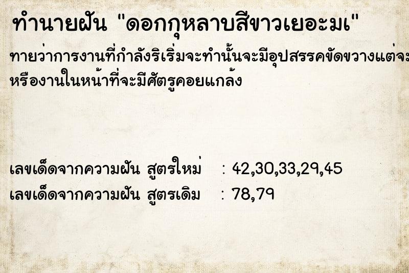 ทำนายฝันดอกกุหลาบสีขาวเยอะมà ทำนายฝันทำนายฝันดอกกุหลาบสีขาวเยอะมà