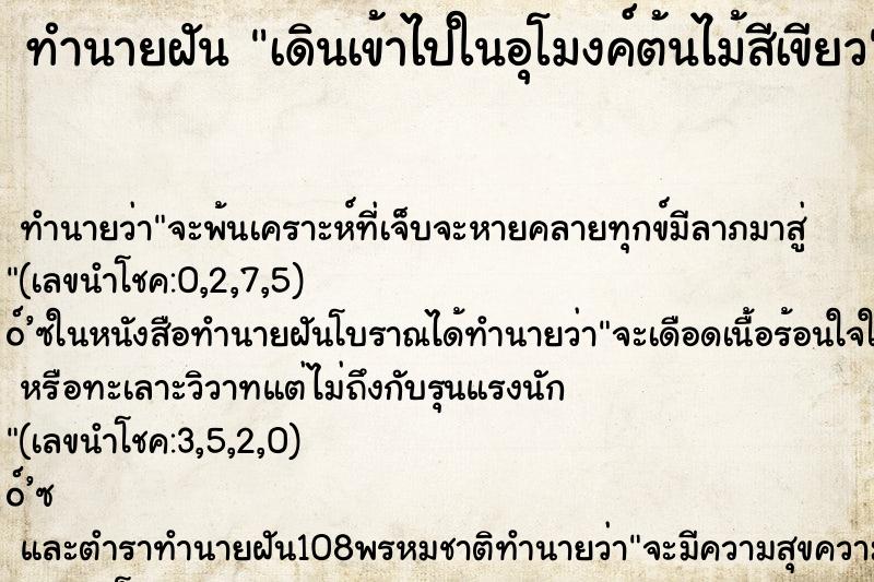ทำนายฝันเดินเข้าไปในอุโมงค์ต้นไม้สีเขียว ทำนายฝันทำนายฝันเดินเข้าไปในอุโมงค์ต้นไม้สีเขียว