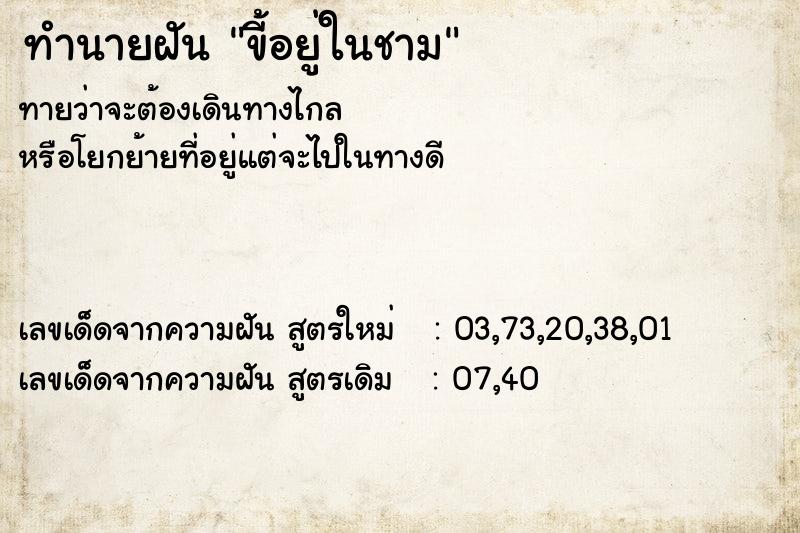 ทำนายฝันทำนายฝันขี้อยู่ในชาม