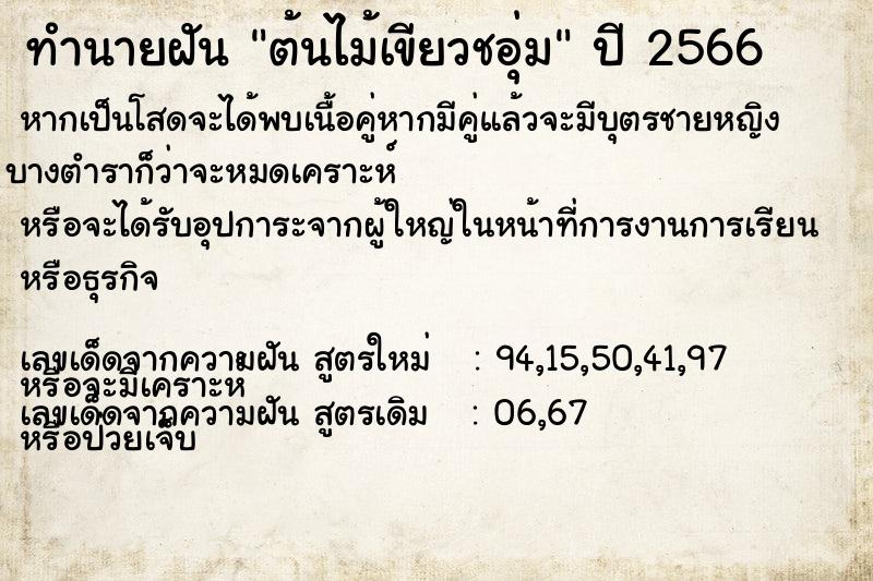 ทำนายฝัน ต้นไม้เขียวชอุ่ม ทำนายฝัน ต้นไม้เขียวชอุ่ม