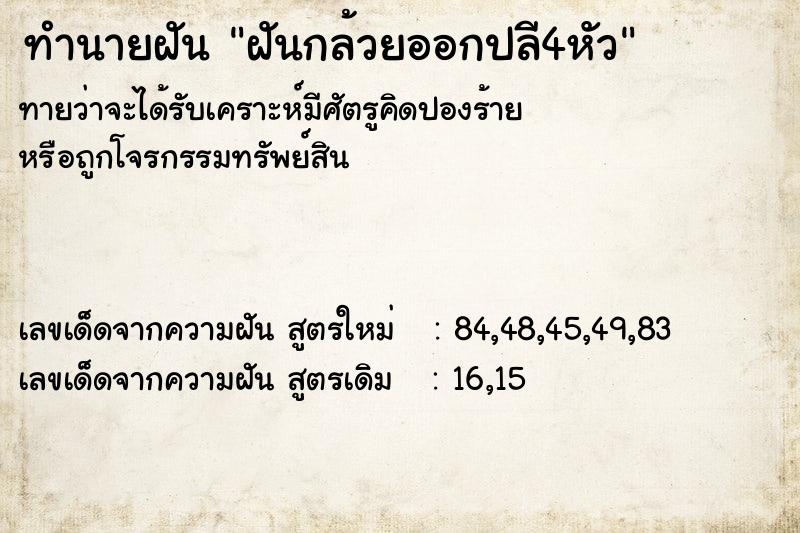 ทำนายฝันฝันกล้วยออกปลี4หัว ทำนายฝันทำนายฝันฝันกล้วยออกปลี4หัว