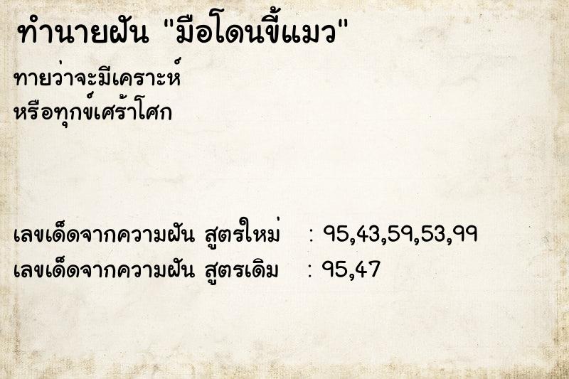 ทำนายฝันมือโดนขี้แมว ทำนายฝันทำนายฝันมือโดนขี้แมว