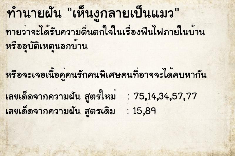 ทำนายฝัน เห็นงูกลายเป็นแมว ทำนายฝัน เห็นงูกลายเป็นแมว