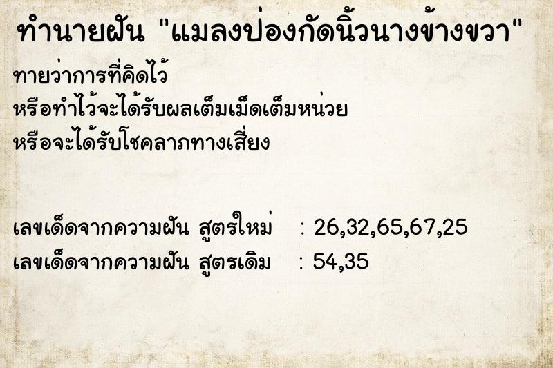 ทำนายฝันแมลงป่องกัดนิ้วนางข้างขวา ทำนายฝันทำนายฝันแมลงป่องกัดนิ้วนางข้างขวา