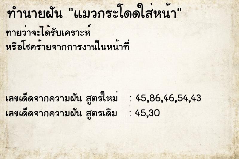 ทำนายฝันทำนายฝันแมวกระโดดใส่หน้า