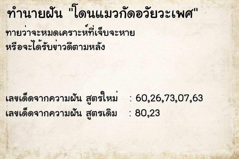 ทำนายฝันโดนแมวกัดอวัยวะเพศ ทำนายฝันทำนายฝันโดนแมวกัดอวัยวะเพศ
