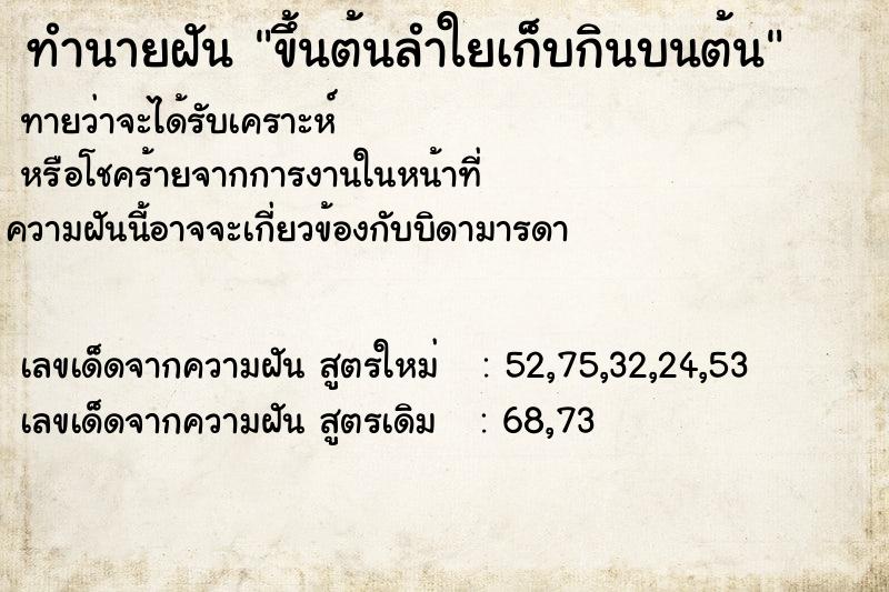 ทำนายฝันขึ้นต้นลำใยเก็บกินบนต้น ทำนายฝันทำนายฝันขึ้นต้นลำใยเก็บกินบนต้น