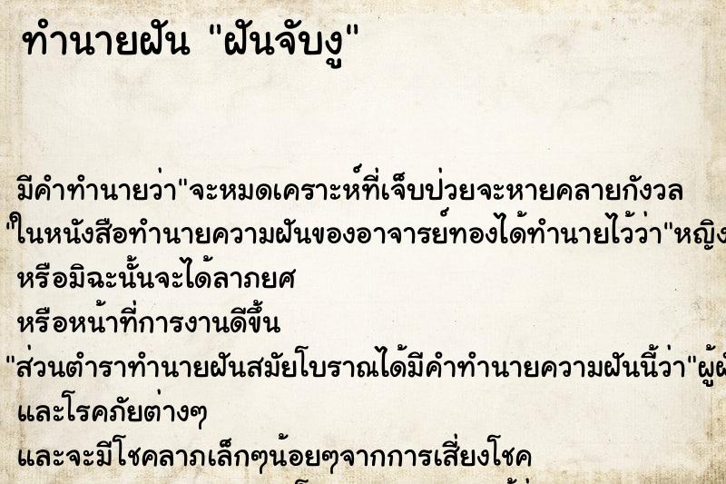 ทำนายฝัน ฝันจับงู ทำนายฝัน ฝันจับงู