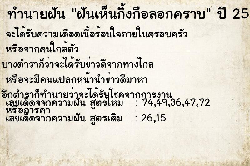 ทำนายฝันฝันเห็นกิ้งกือลอกคราบ ทำนายฝันทำนายฝันฝันเห็นกิ้งกือลอกคราบ